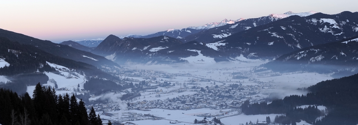 כתבות על פלכאו